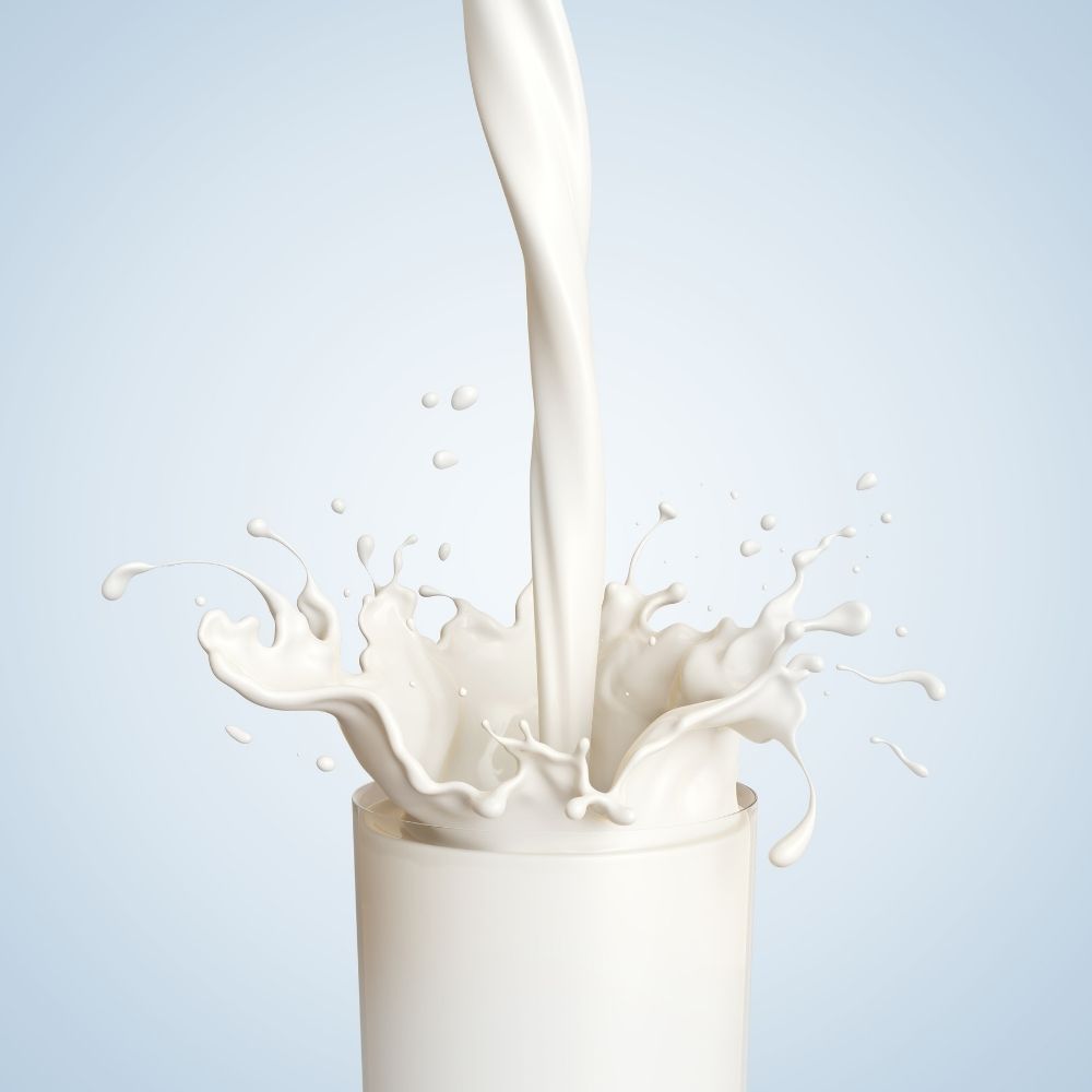Are Alternative Milks Good for You?